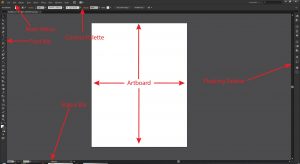 Adobe Illustrator tutorials interface