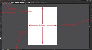 Adobe Illustrator Interface